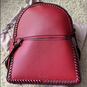 CALPAK Kaya backpack